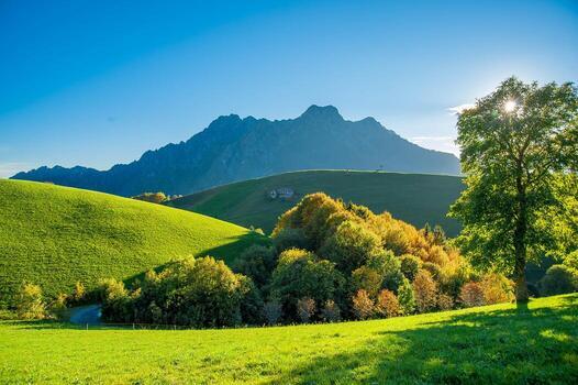 A refreshing green natural landscape